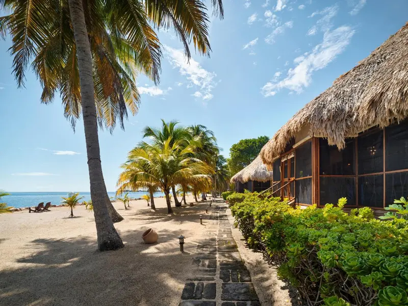Une allée sablonneuse mène à des bungalows de plage ombragés par des palmiers.