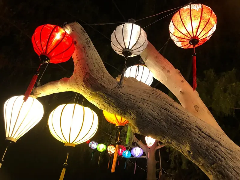 Lanternes illuminées suspendues à une branche d'arbre.