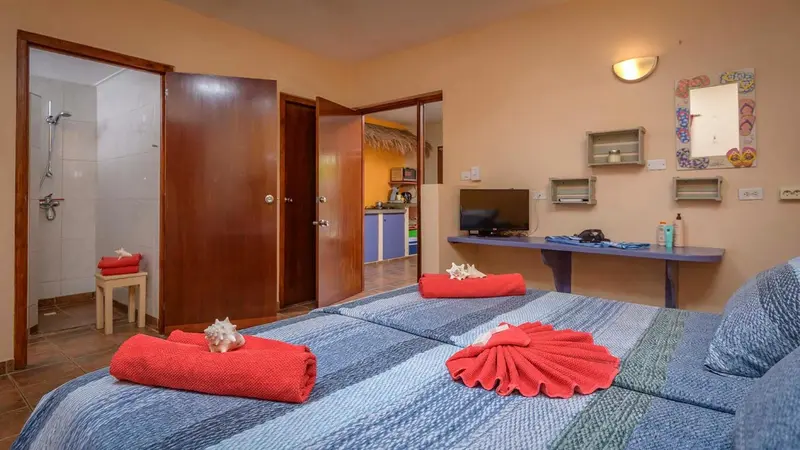Une chambre lumineuse avec un lit double et une salle de bain attenante.