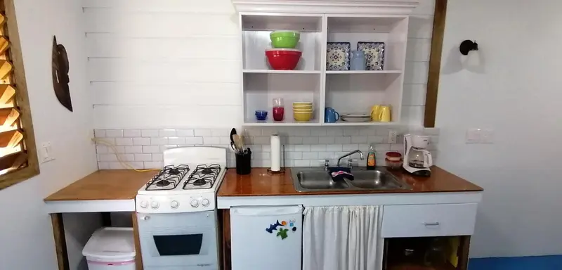 Une cuisine lumineuse avec des étagères ouvertes et un plan de travail en bois.
