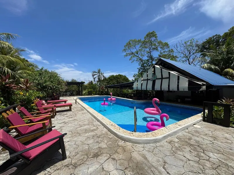 Transats roses bordent une piscine turquoise ornée de flamants roses gonflables.