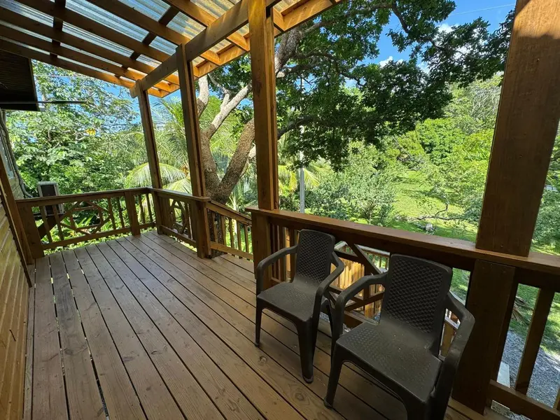 Terrasse en bois avec mobilier d'extérieur donnant sur une végétation luxuriante.