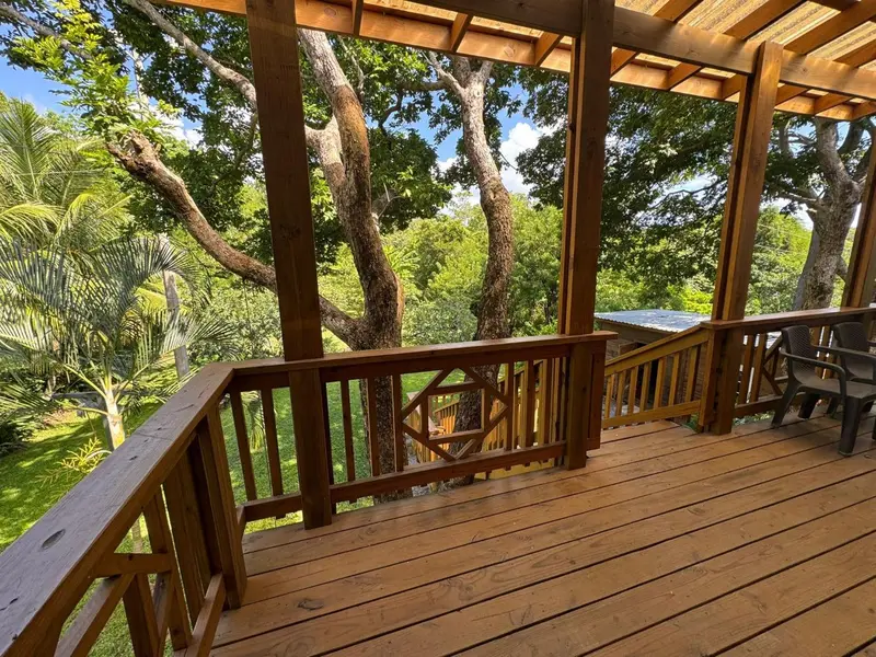 Terrasse en bois avec rambarde et vue sur la végétation luxuriante.