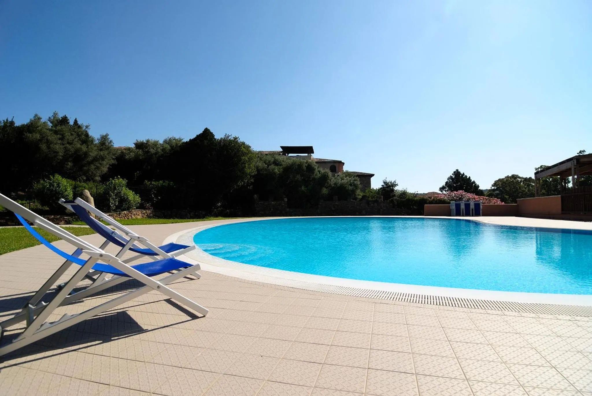 Transats bleus disposés au bord d'une piscine rectangulaire ensoleillée.