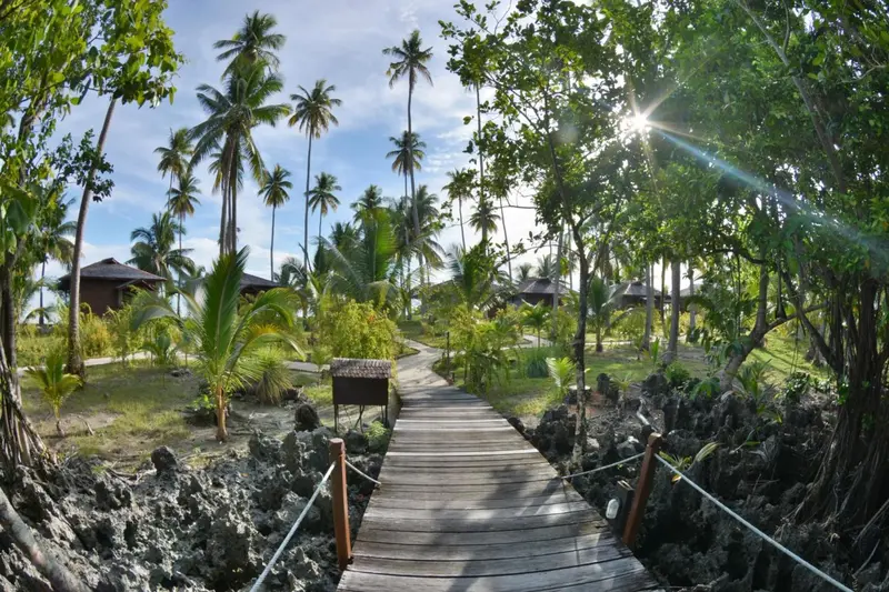 Allée en bois bordée de végétation tropicale menant à des bungalows.