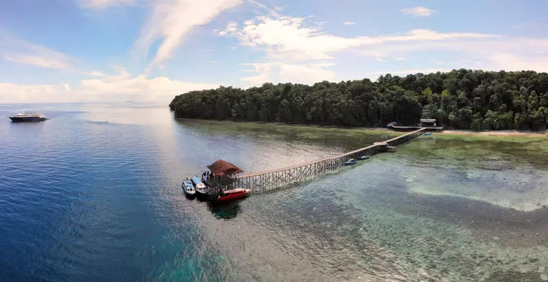 Vue aérienne d'une île tropicale avec un ponton en bois s'étendant vers la mer.