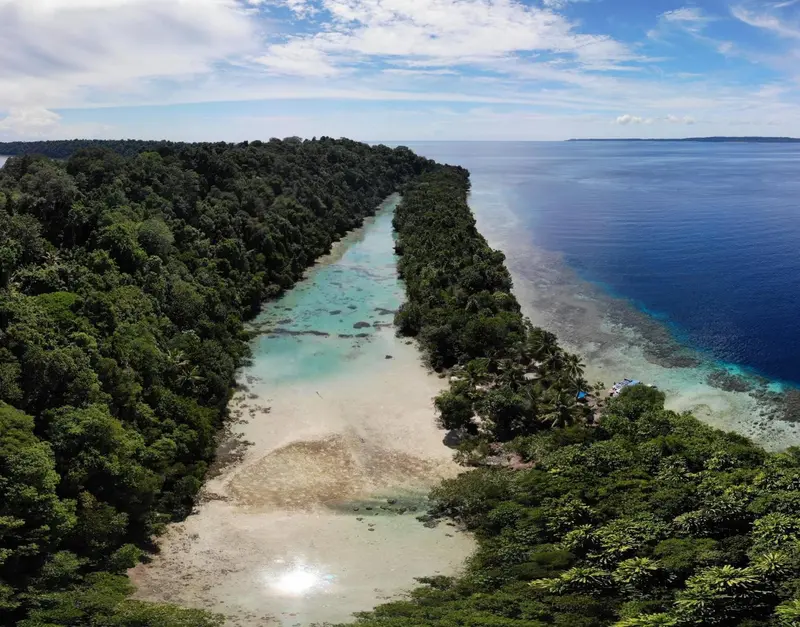 Vue aérienne d'une plage de sable blanc bordée de végétation luxuriante et d'eaux turquoise.