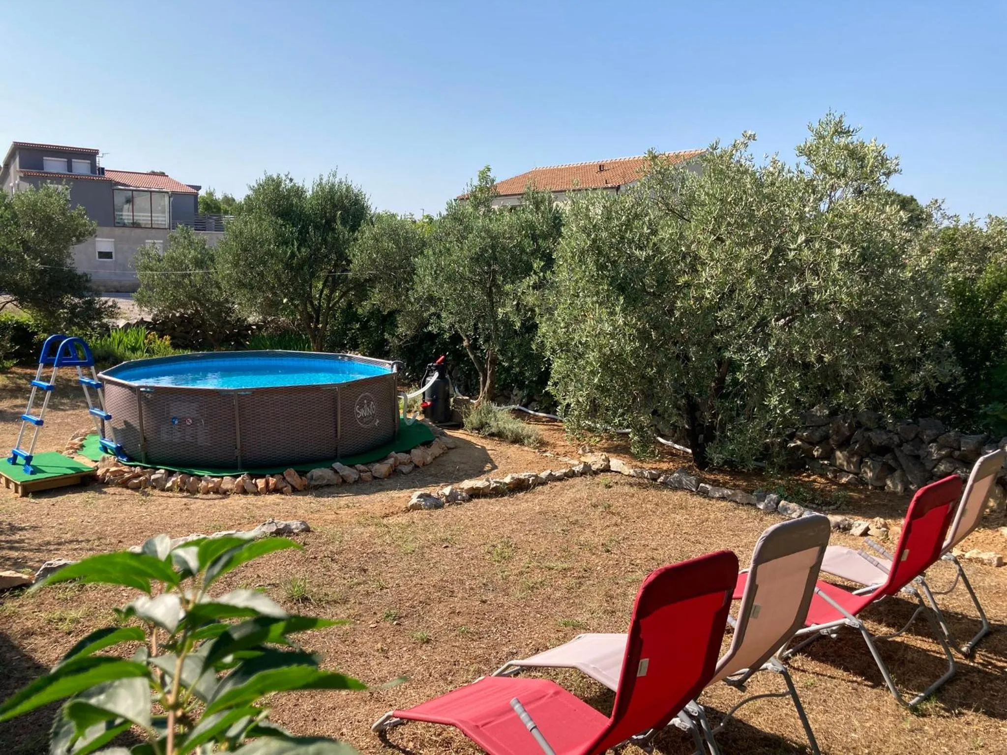 Transats rouges et piscine hors-sol dans un jardin verdoyant.
