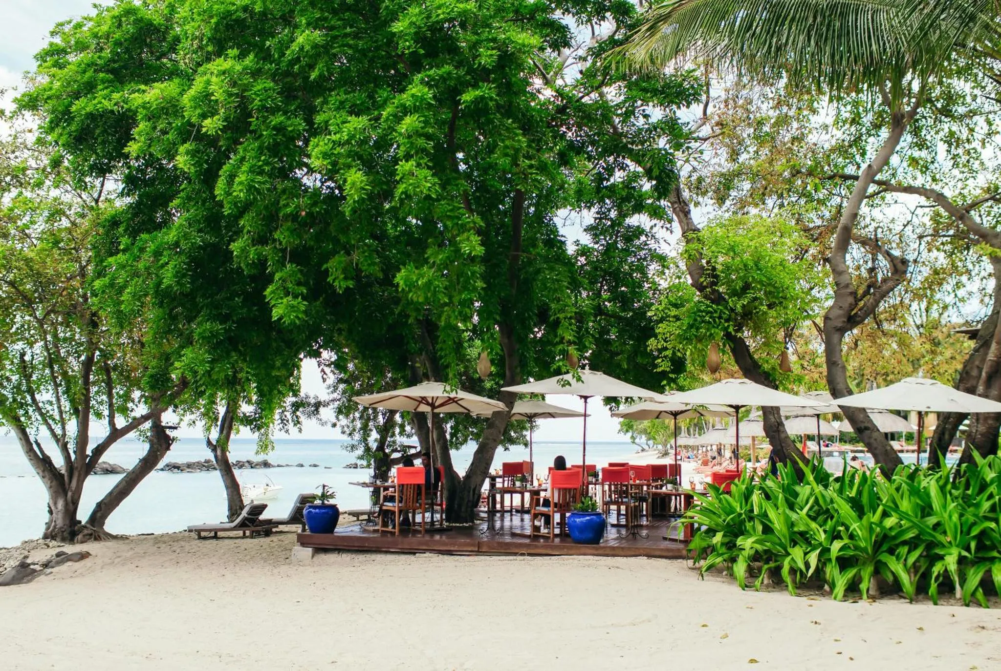 Terrasse ombragée avec tables et chaises en bord de mer.