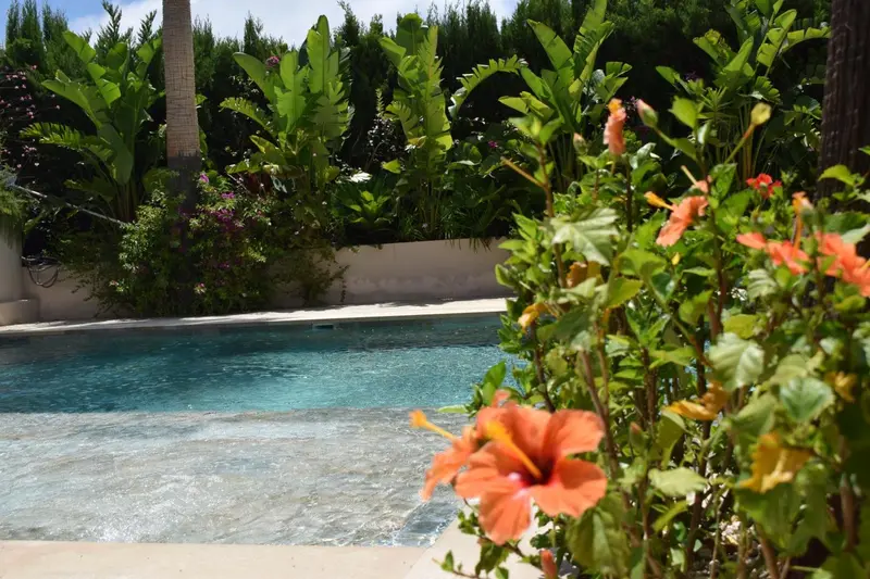 Une piscine turquoise entourée d'une végétation luxuriante et de fleurs tropicales.