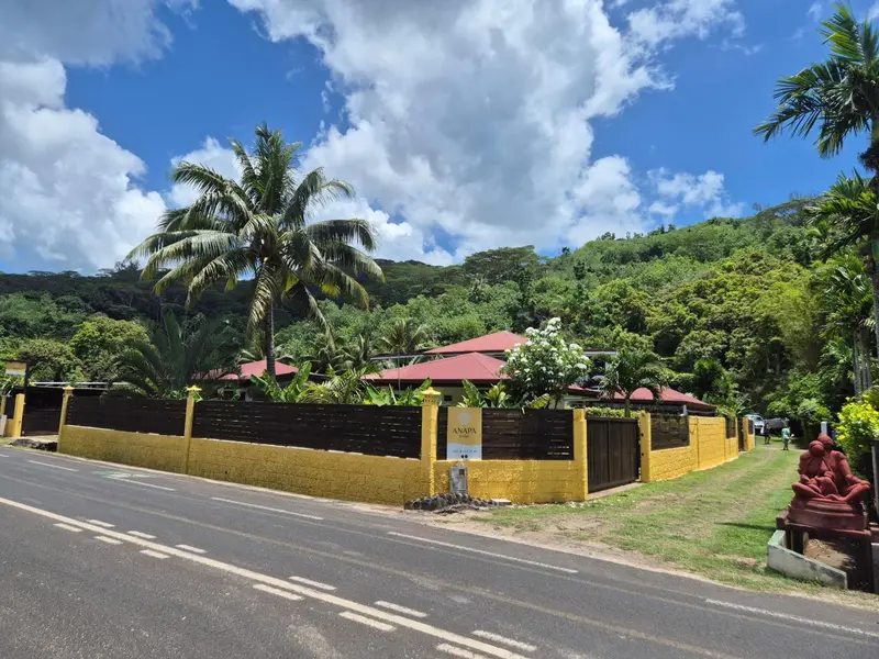 Vue d'une route bordée de végétation tropicale et d'une clôture colorée.