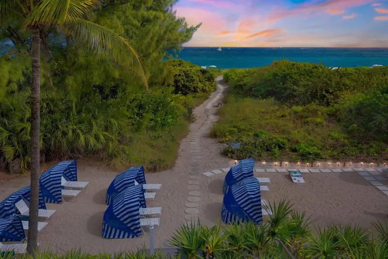 Allée sablonneuse bordée de végétation et de chaises longues sur une plage.