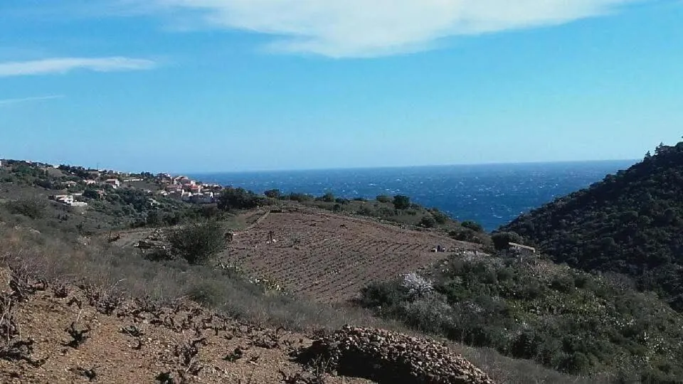 Paysage montagneux avec vue sur la mer et des champs en terrasses.