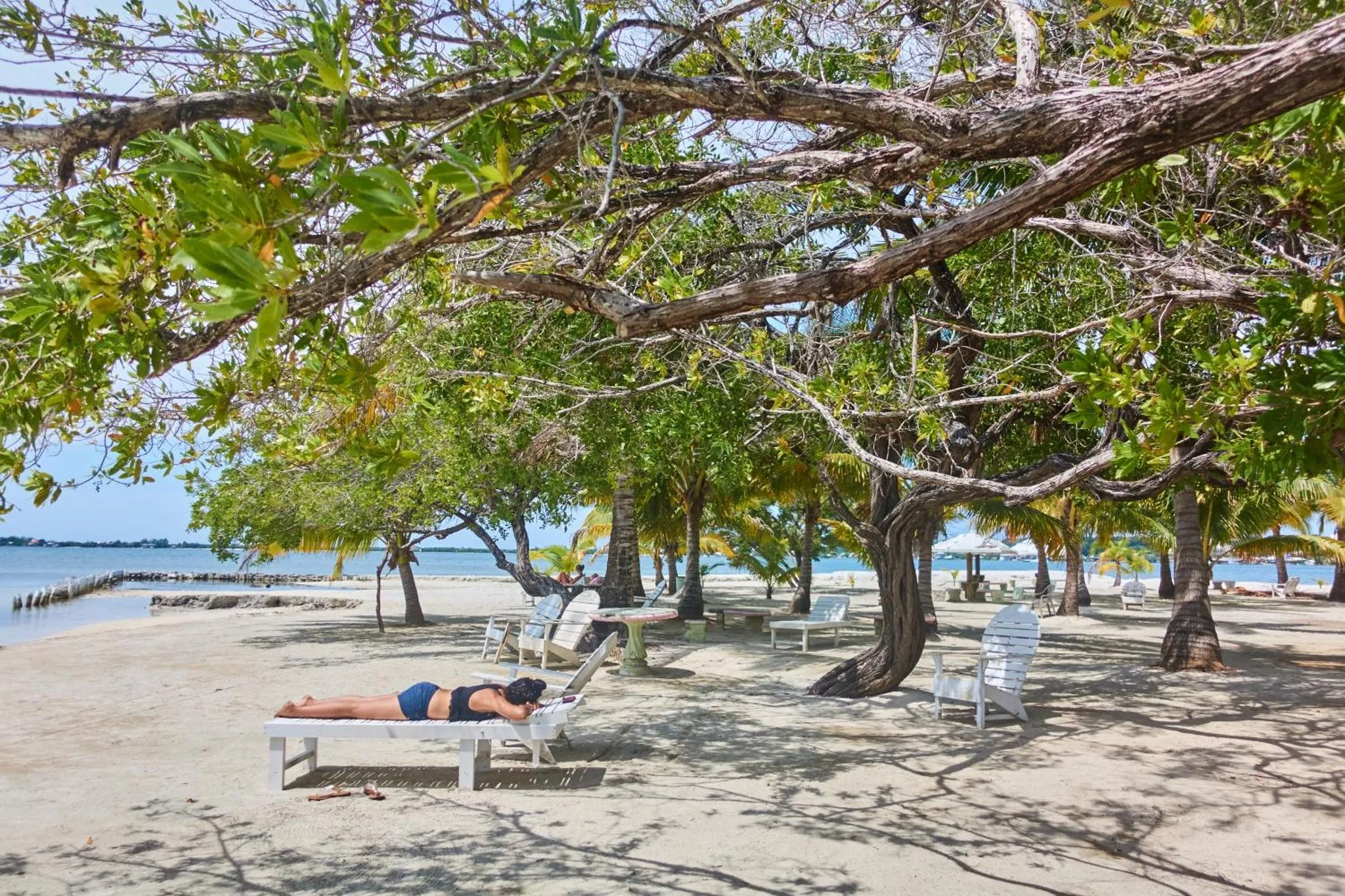 Transats alignés sur une plage de sable blanc ombragée par des arbres.