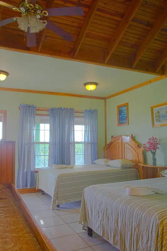 Une chambre lumineuse avec deux lits simples et un décor tropical.