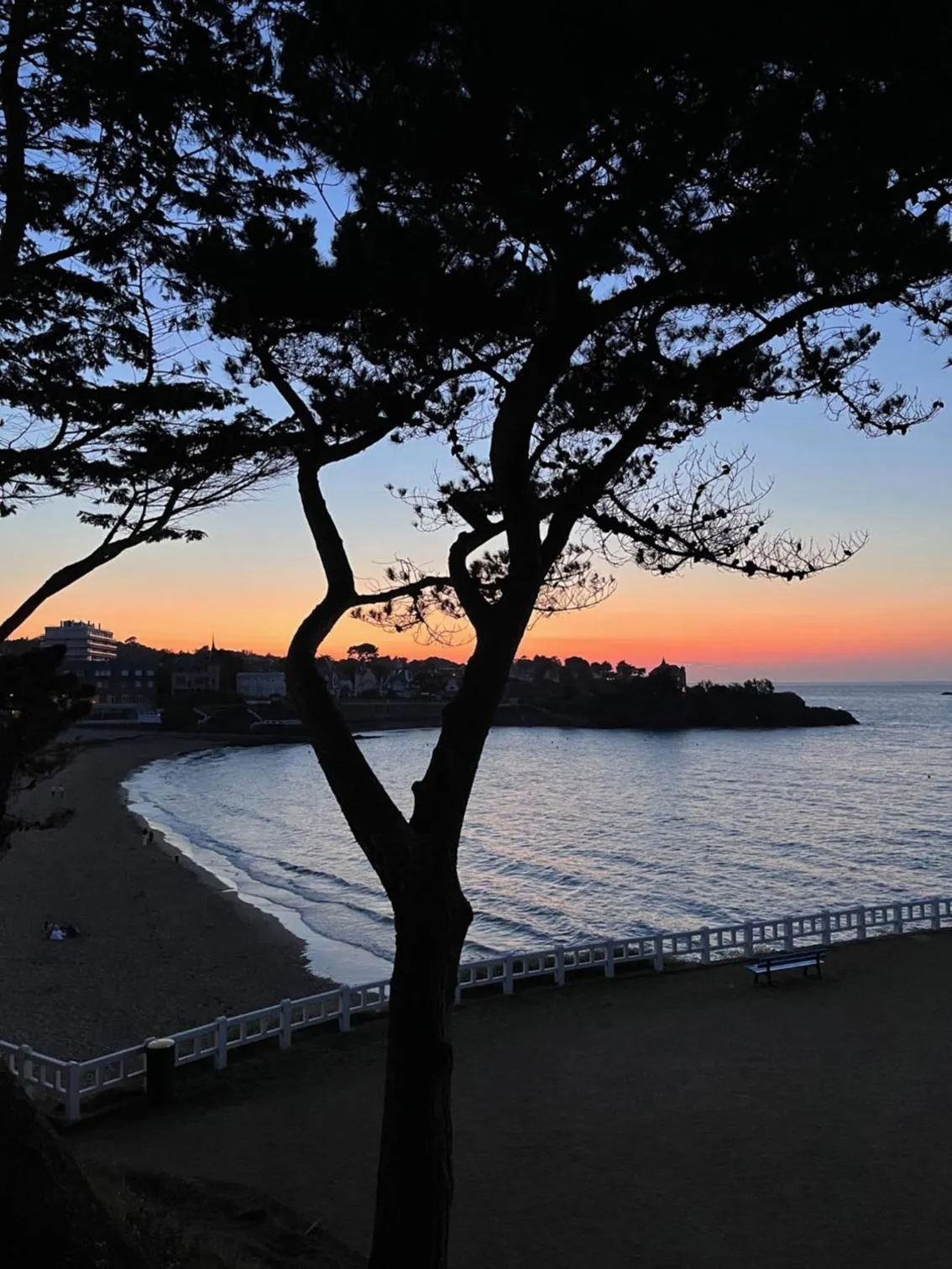 Coucher de soleil sur la mer avec une silhouette d'arbre au premier plan.