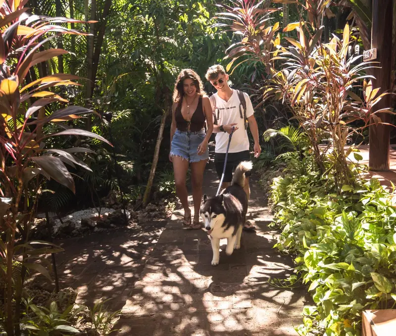 Un couple se promène avec un chien sur un chemin ombragé bordé de végétation.