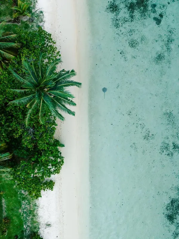 Vue aérienne d'une plage de sable blanc bordée de végétation luxuriante et d'eaux turquoise.