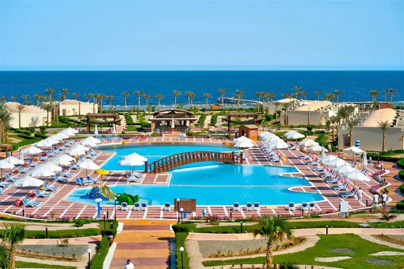Vue aérienne d'une piscine avec transats et parasols, bordée de palmiers et donnant sur la mer.