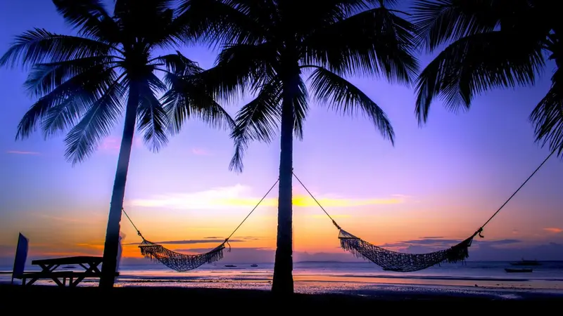 Deux hamacs sont suspendus entre des palmiers au coucher du soleil sur une plage.