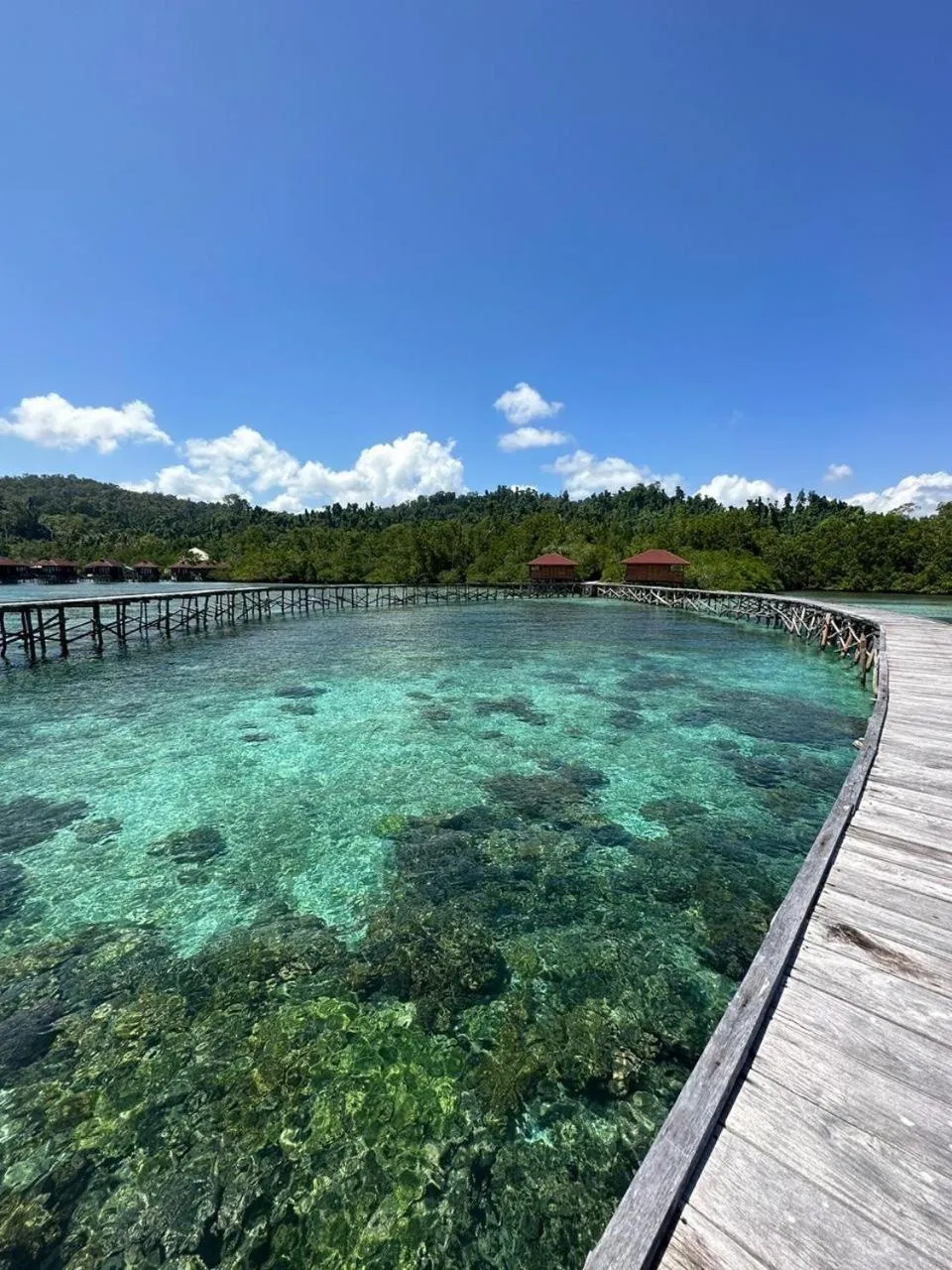 Ponton en bois s'avançant sur une eau turquoise peu profonde.