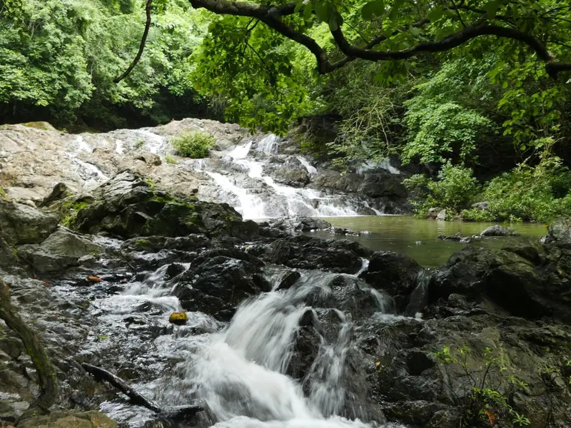 Cascade d'eau fraîche se jetant dans une rivière rocheuse au milieu d'une végétation luxuriante.