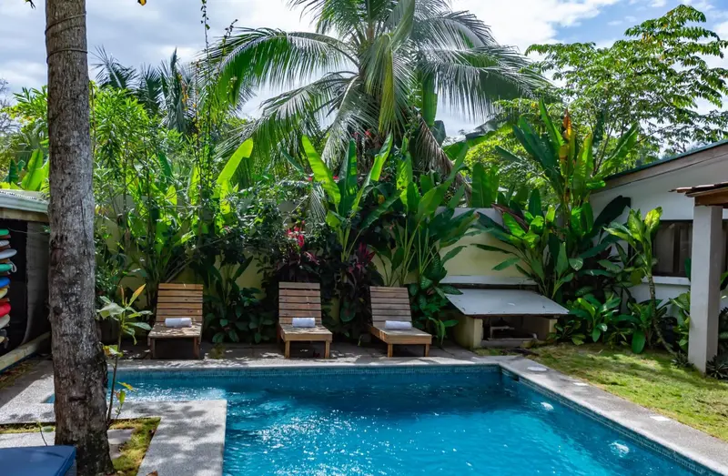 Deux transats invitent à la détente au bord d'une piscine entourée de végétation tropicale.