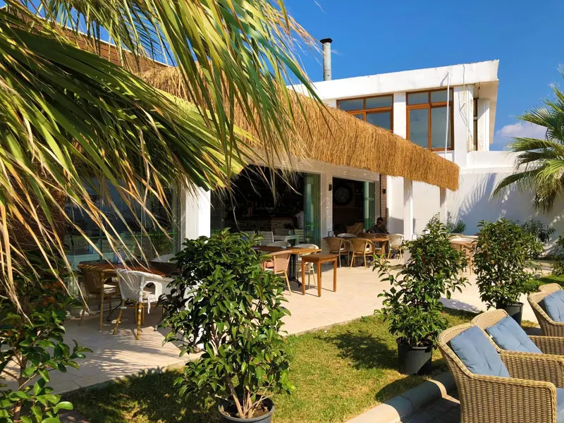 Terrasse ombragée avec mobilier de jardin et végétation tropicale.