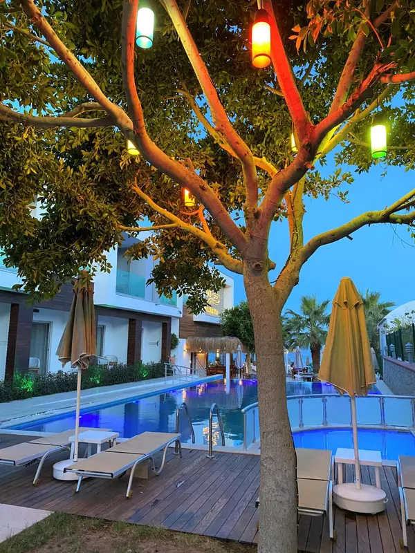 Une piscine illuminée avec des transats et des arbres décorés de lumières.