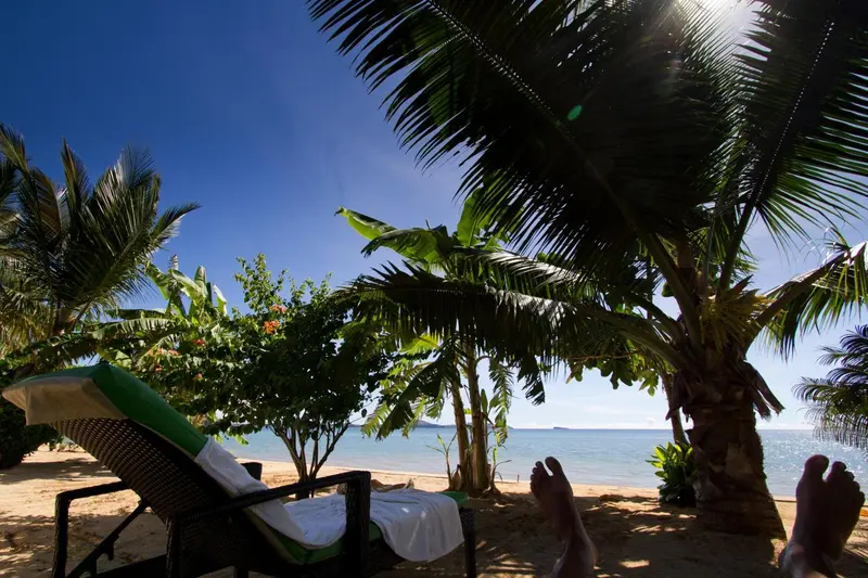 Transats sur une plage de sable fin bordée de palmiers sous un ciel bleu.