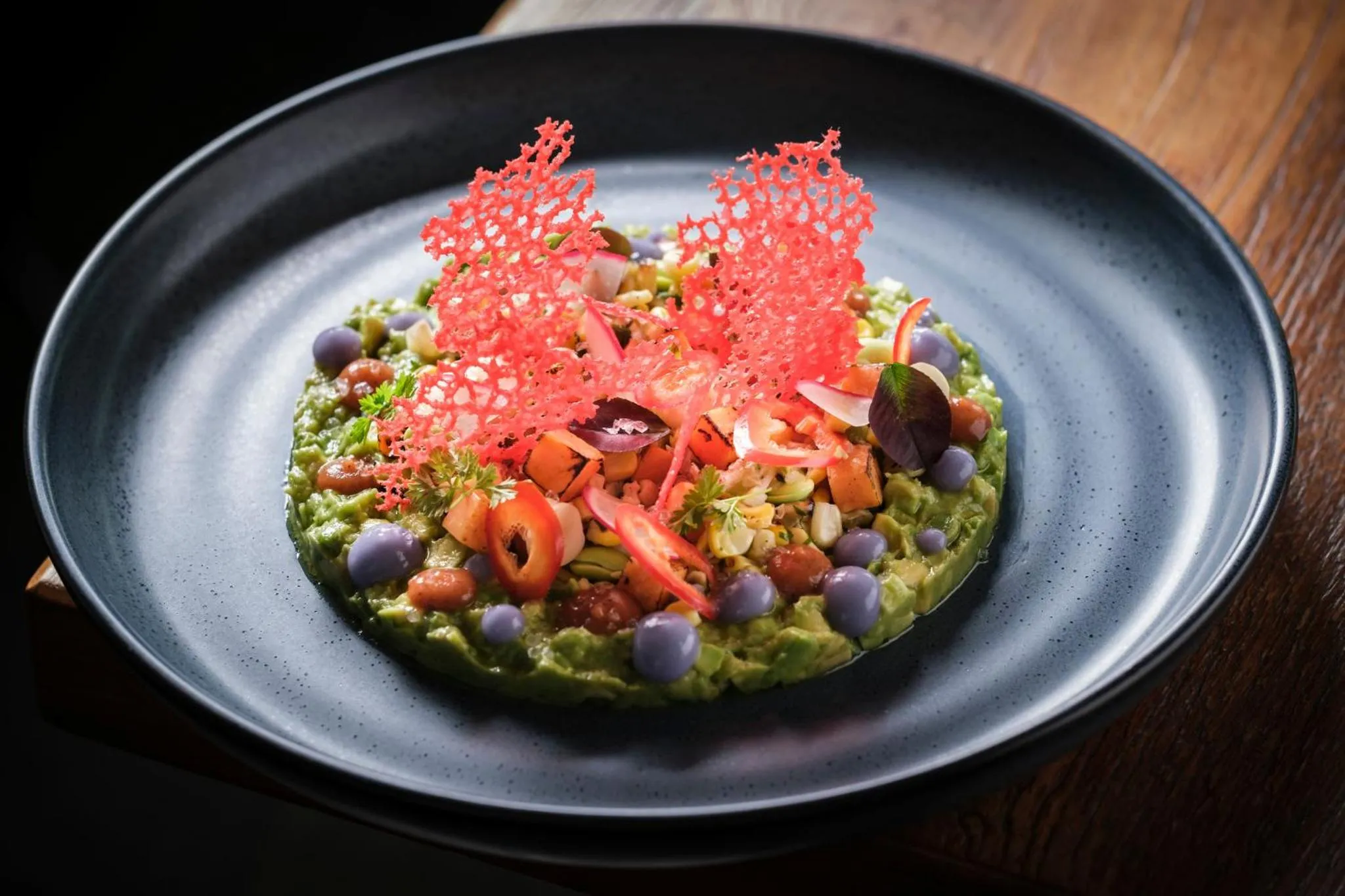 Assiette raffinée avec une préparation à base d'avocat et de légumes.