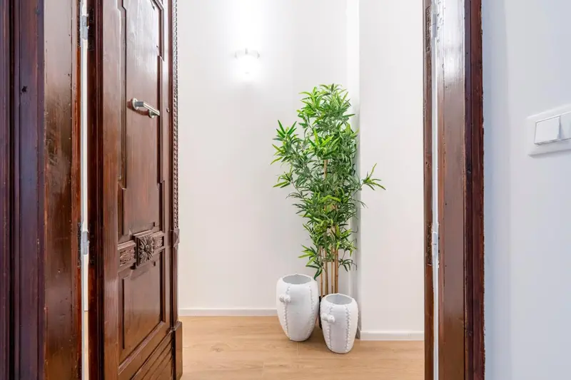 Deux portes en bois ouvertes sur un couloir décoré de plantes.