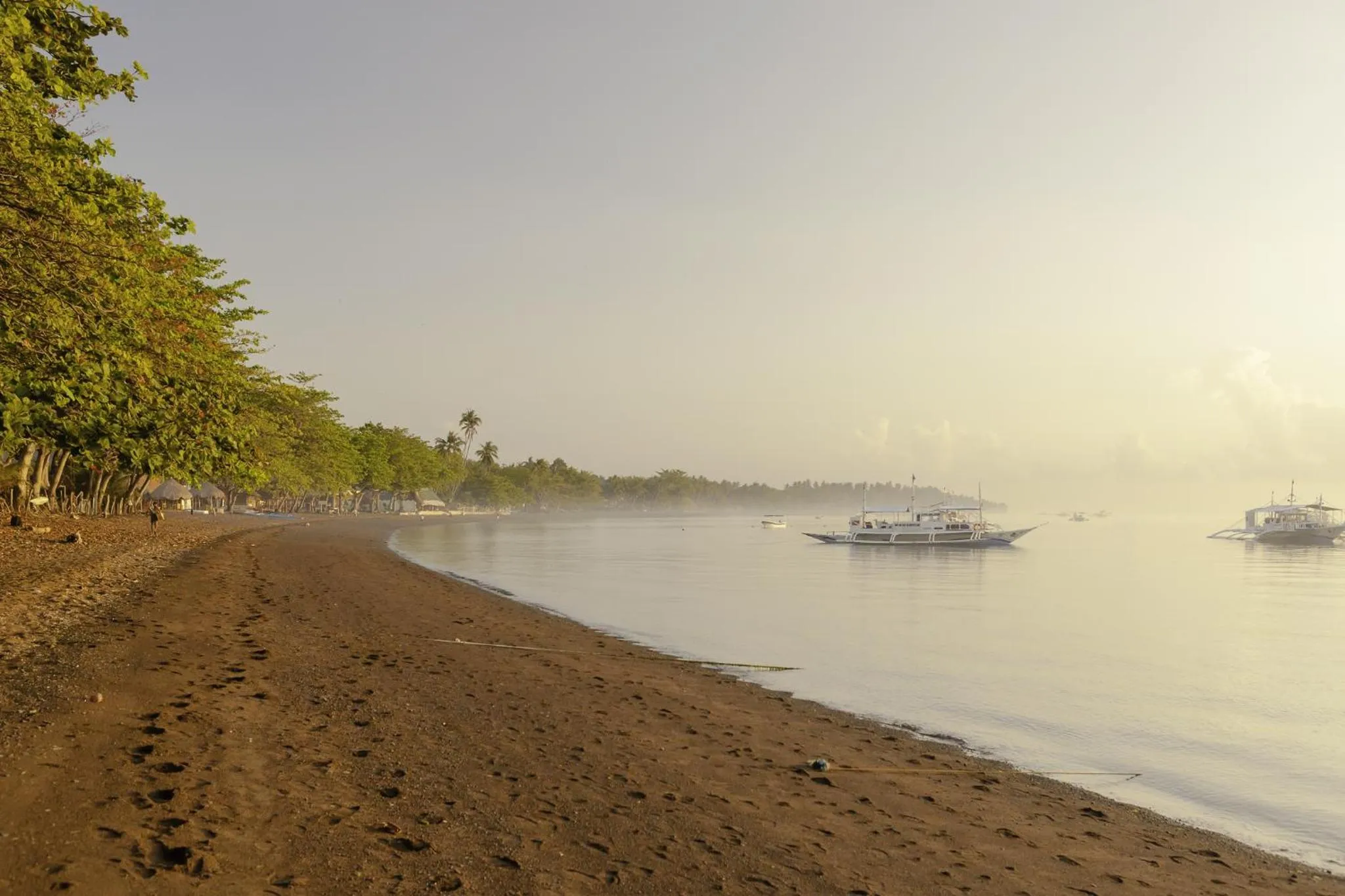 Plage de sable sombre bordée d'arbres et de bateaux au loin.