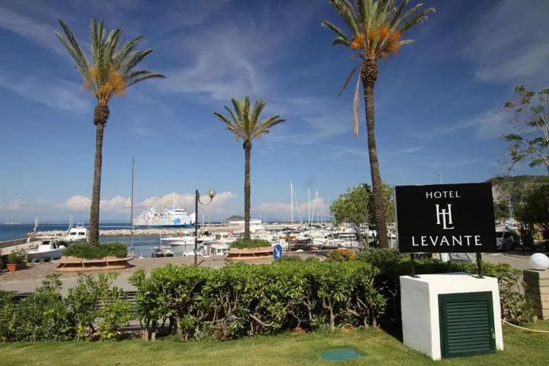 Palmiers et bateaux amarrés dans un port ensoleillé.