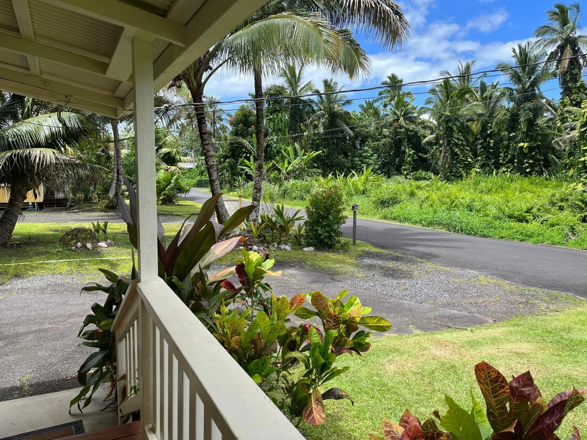 Terrasse ombragée donnant sur une route bordée de végétation tropicale.