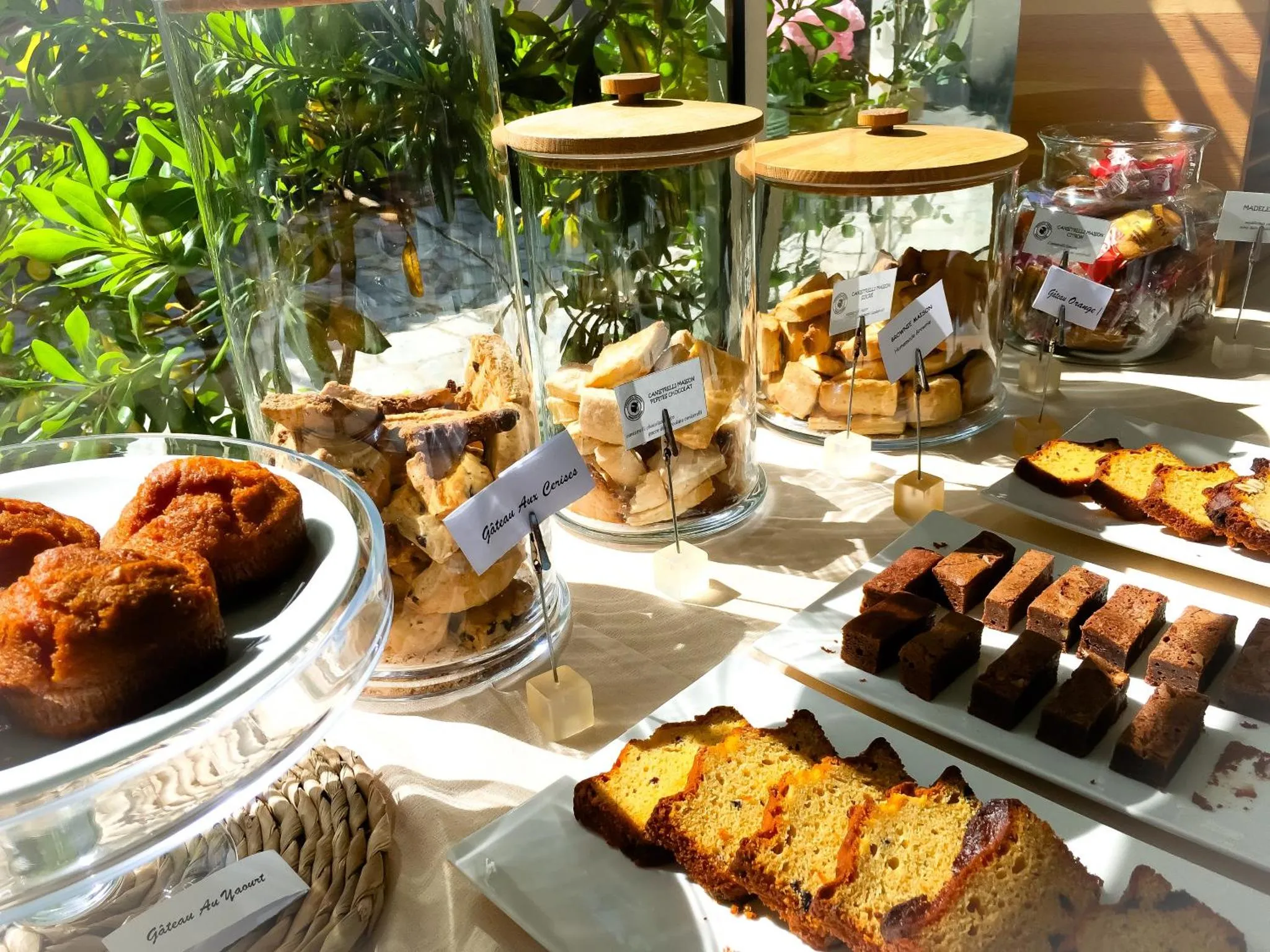 Présentation de pâtisseries et de viennoiseries sur un comptoir ensoleillé.