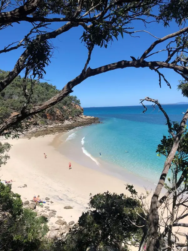 Vue aérienne d'une plage de sable fin bordée d'une eau turquoise et d'une végétation luxuriante.