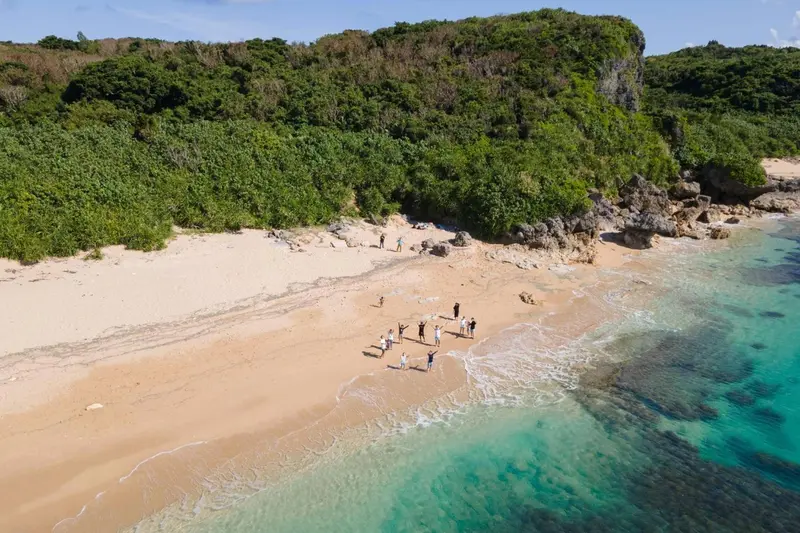 Vue aérienne d'une plage de sable fin bordée d'une végétation luxuriante et d'une eau turquoise.