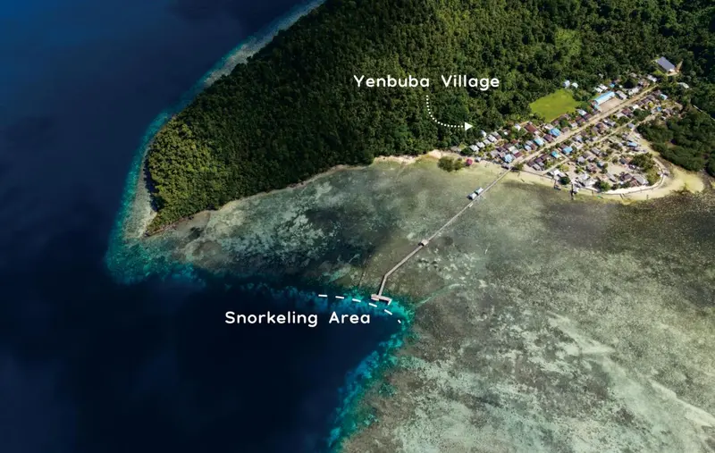 Vue aérienne d'une côte bordée d'une végétation luxuriante et d'une plage.