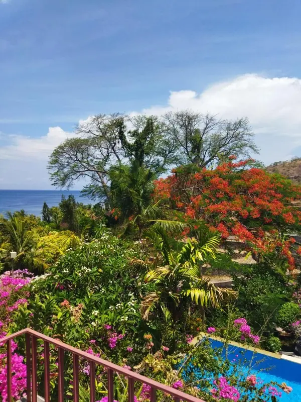 Vue d'une végétation luxuriante et colorée surplombant la mer.