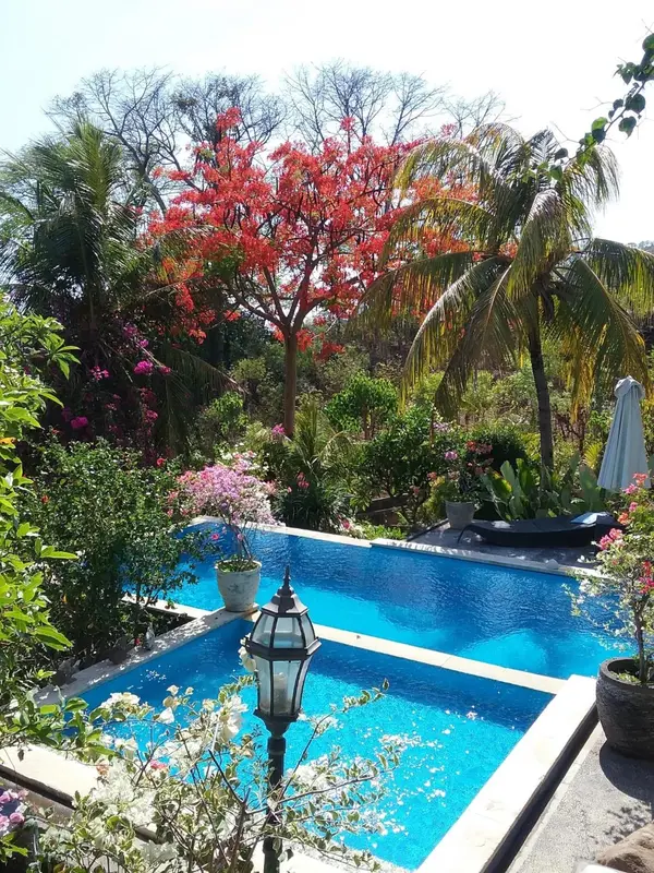 Une piscine rectangulaire bordée de végétation luxuriante et d'arbres en fleurs.