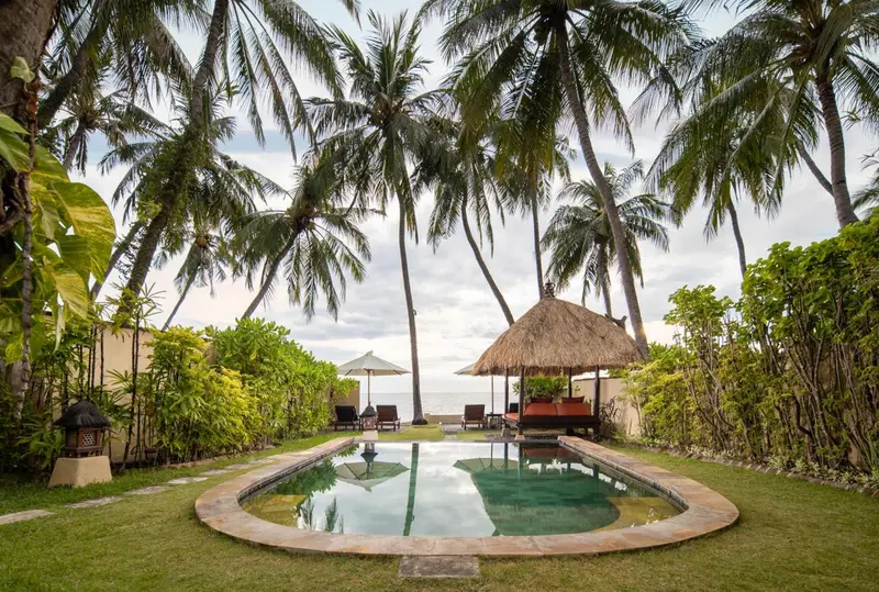 Petite piscine rectangulaire entourée de végétation tropicale et de chaises longues.