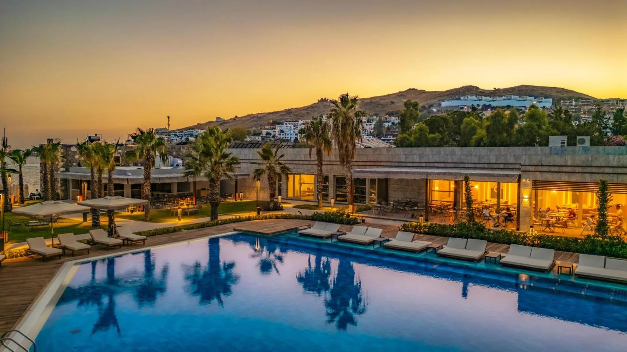 Piscine d'hôtel au crépuscule avec transats et végétation tropicale.