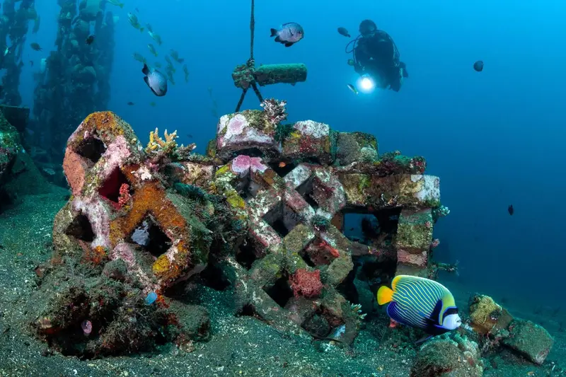 Un plongeur explore une épave recouverte de coraux et de poissons colorés.