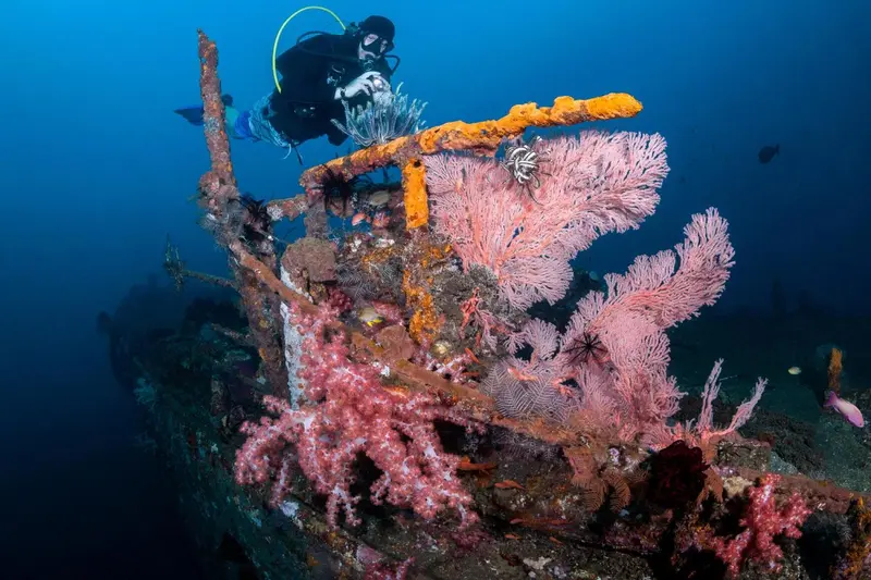 Un plongeur explore un récif corallien coloré sur une épave sous-marine.