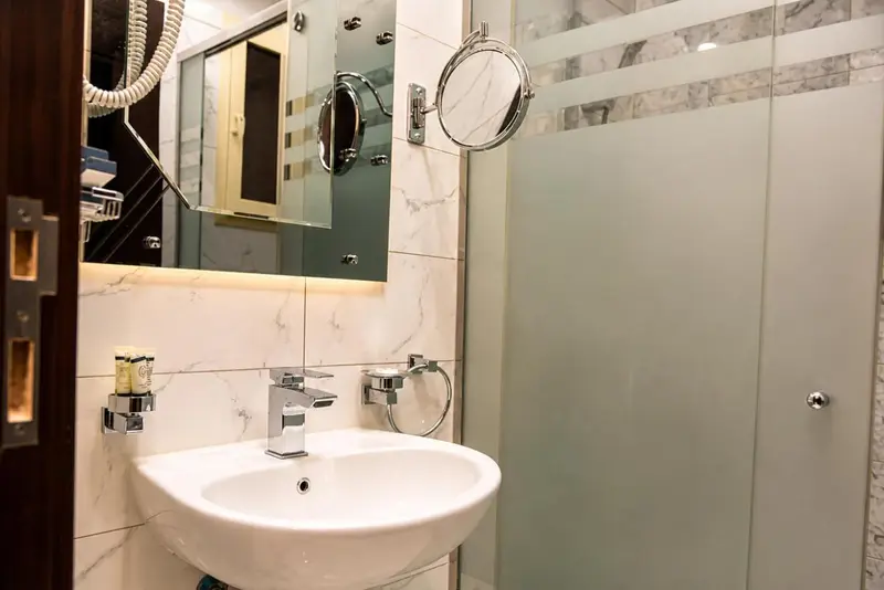 Une salle de bain moderne avec lavabo et douche à l'italienne.