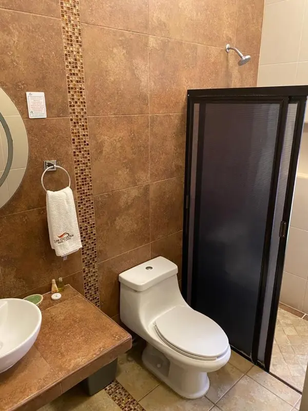 Une salle de bain avec douche à l'italienne et toilettes.