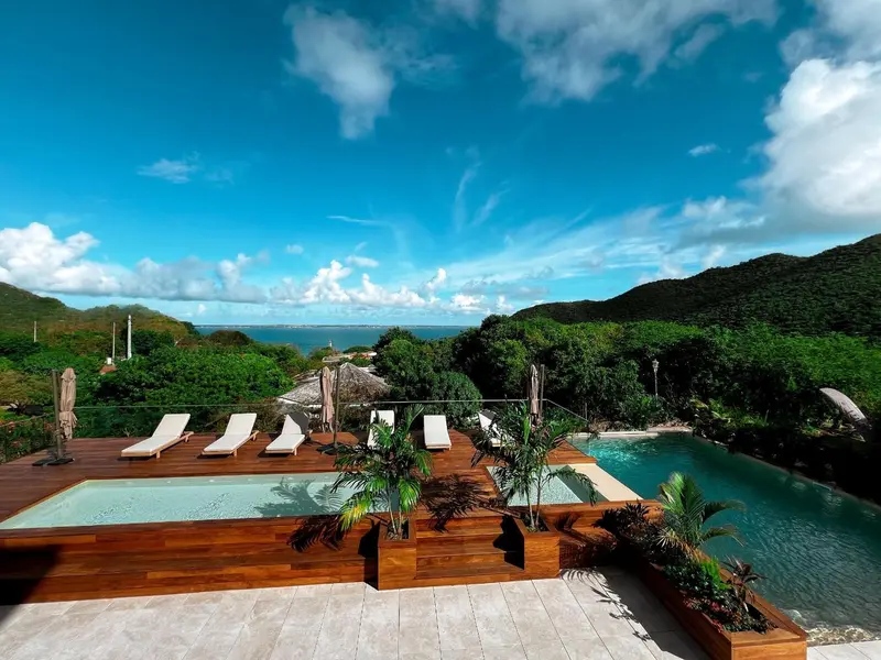 Terrasse avec transats et piscine à débordement offrant une vue sur la mer et la végétation.