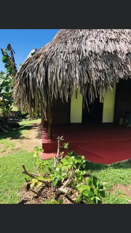 Une petite structure à toit de chaume s'ouvre sur un espace intérieur clair.