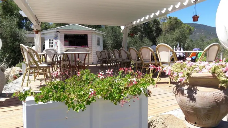 Terrasse ombragée avec tables et chaises, vue sur la végétation et un bâtiment blanc.